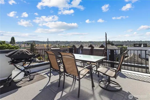 And now, the roof-top!  Catch some sun, grow some plants, bbq & dine while looking at the stars!