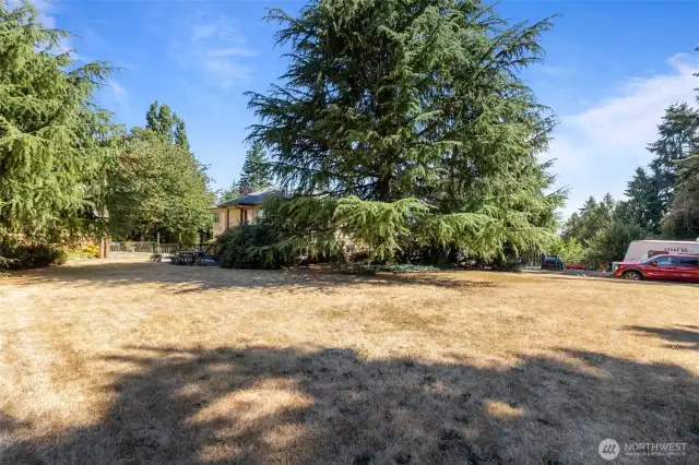 View from backyard up to the house. RV parking in back with RV dump.