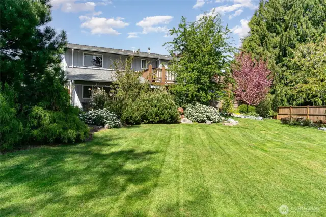 Expansive backyard with a large grass area—perfect for play or relaxation.
