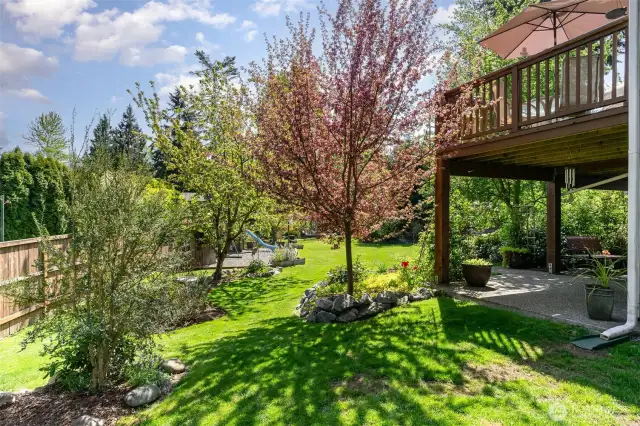 Side yard view highlighting the deck, covered patio, and play area—showcasing the full variety of outdoor living spaces.