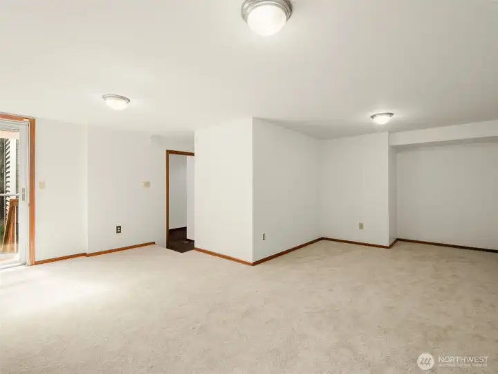 Downstairs Bonus room