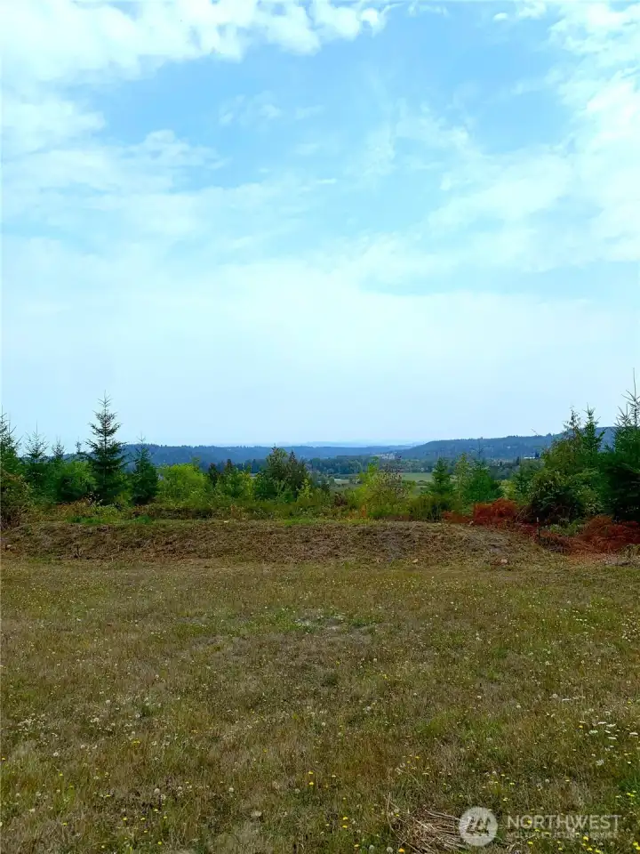 Septic Mound