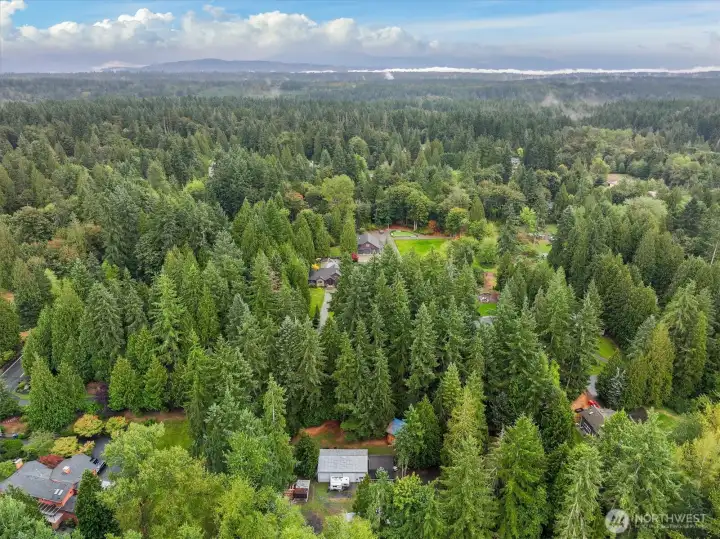 Located in an area of Multi-Million $$ Homes!