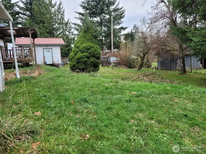 Looking South from North end of property