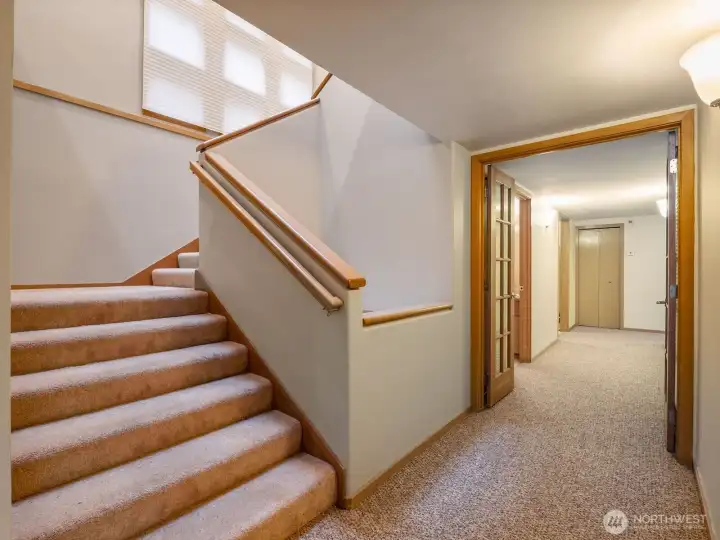 Daylight Basement Stairway