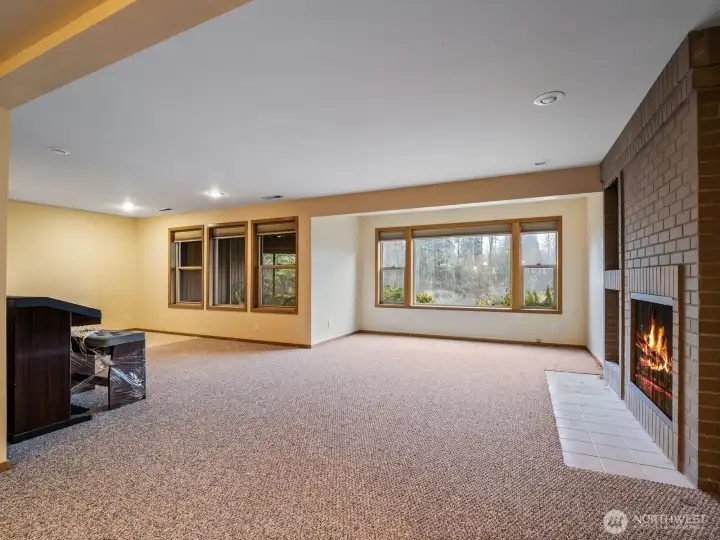 Daylight Basement Family Room