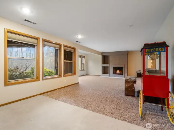 Daylight Basement Living Area