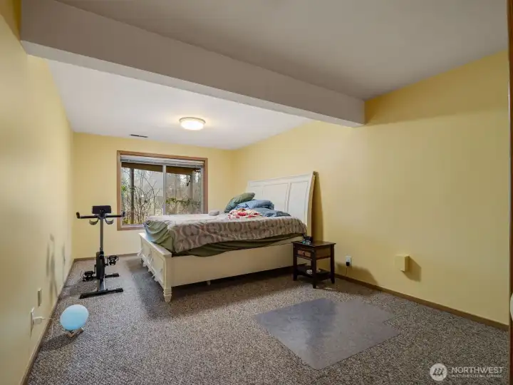 Daylight Basement Bedroom