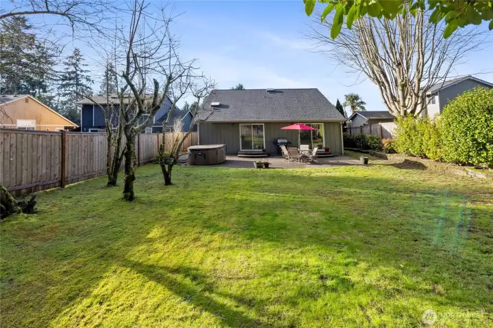 Enjoy Italian Plums, Cherries, and Apples!