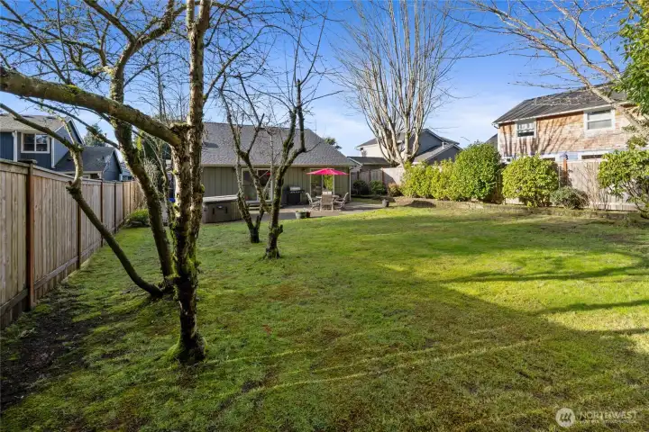 Your own orchard just off of Orchard Street!