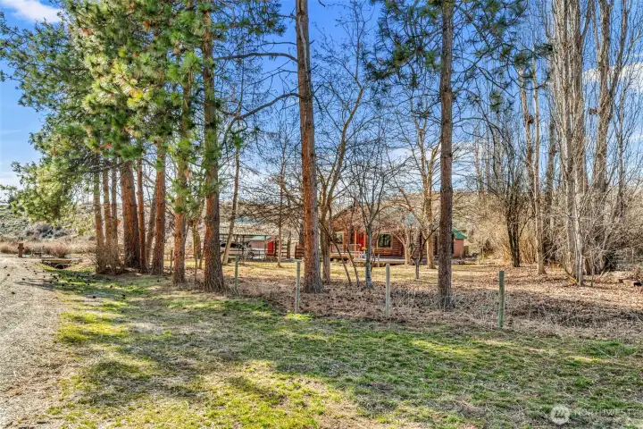 Private Treed Setting -  Mature trees surround the home, creating a serene and secluded setting that feels like your own private retreat.