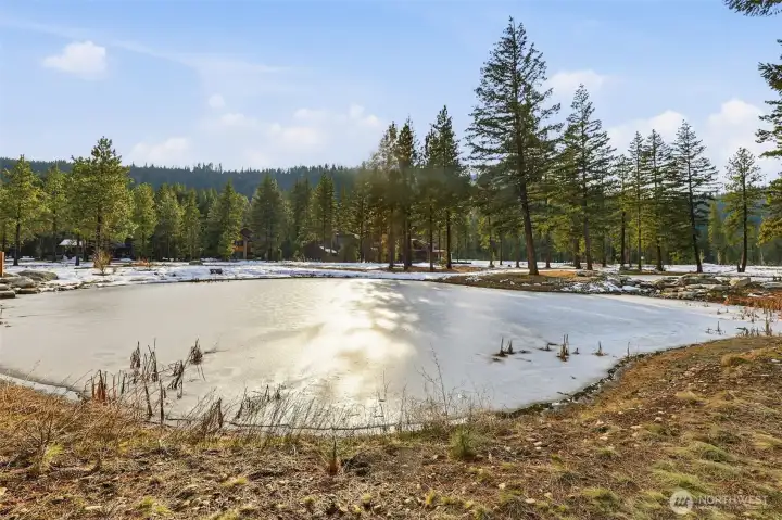 Welcome to 15 Gold Leaf Lane, one of the last remaining premier (ready to build) lots on the sunny shores of Paintbrush Lakes.