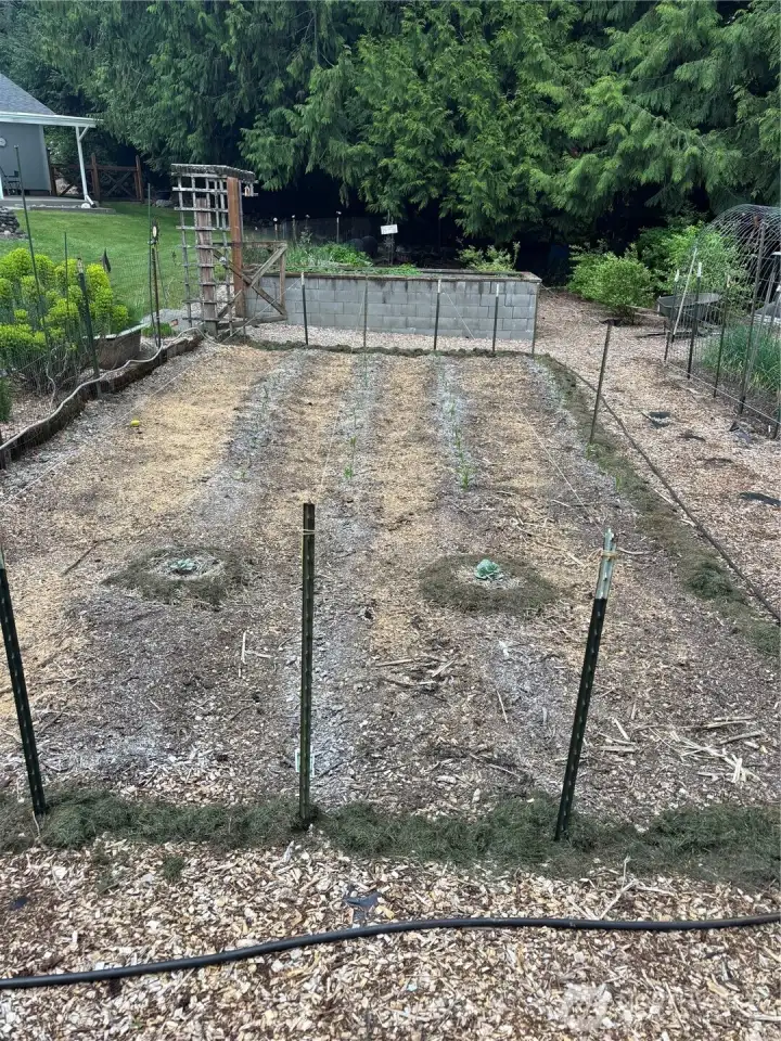 Seller has fully planted the Garden and is ready for the new Buyer… Seller has fully planted the Garden and is ready for the new Buyer…