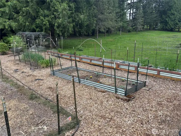 Fully Weeded and Planted Garden for a full harvest once you have closed… Fully Weeded and Planted Garden for a full harvest once you have closed…