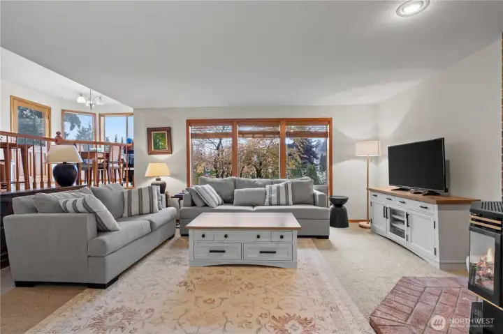 Lower level great room with huge windows and free standing fireplace