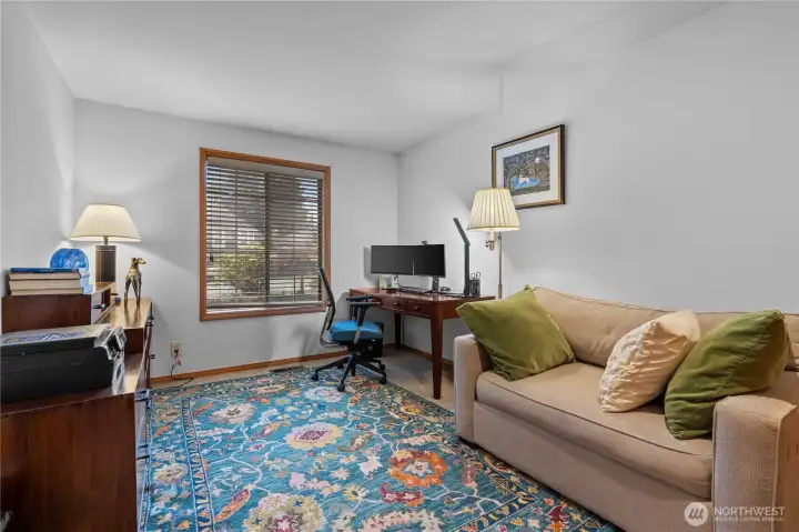 Lower level bedroom, great guest bedroom or work from home space