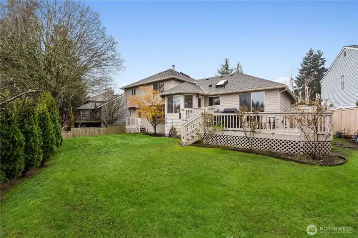 Large back yard with fruit trees!