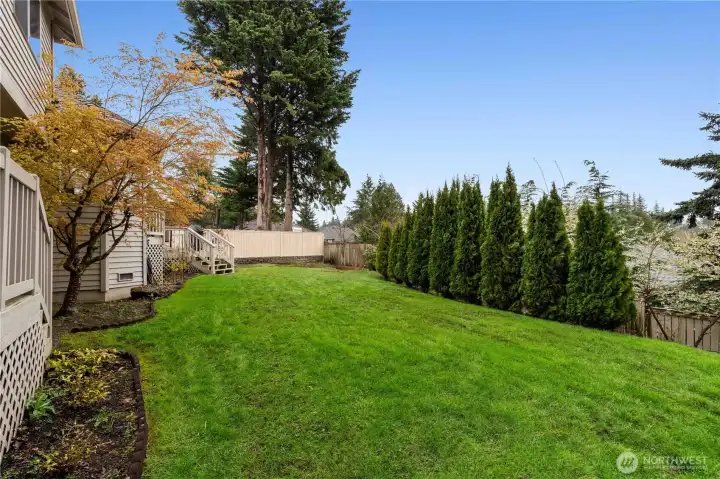 Lots of space to play outside!