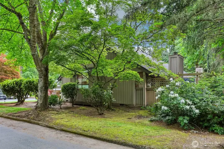 Corner plot - side view