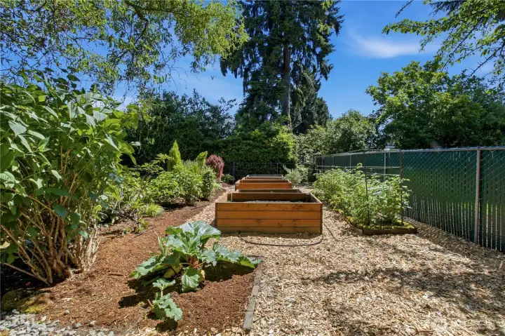 Garden area