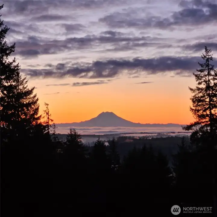 Imagine waking up to THIS every single morning. The soft sunrise glow hitting Mount Rainier in the distance while the surrounding treetops slowly light up below feels less like ordinary homeownership and more like somebody accidentally gave you access to a luxury mountain retreat that never closes. The beauty of this property is that while it feels wonderfully private and tucked away atop 20 acres of peaceful forested land, you are still only about 10 minutes from downtown Shelton where you will find everyday conveniences like Safeway, Walmart Supercenter, local dining spots, coffee shops and services close at hand. You are also near Isabella Lake State Park for even more outdoor recreation opportunities, and when city errands or commuting call, Olympia sits only about 30 minutes away.