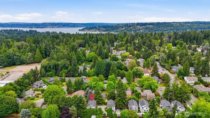 Aerial view of Juanita Grove community.