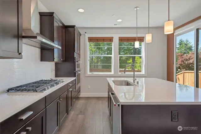 Gourmet kitchen with stainless appliances, quartz slab counters, access to fenced backyard