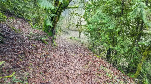 There is a trail across from the manufactured home that leads through the woods and over to another clearing.