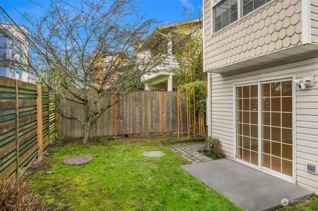 Backyard and patio space