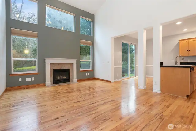 Family room with vaulted ceilings