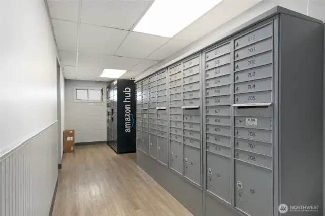 Secure mail, with Amazon lockers, on the main floor of the building.