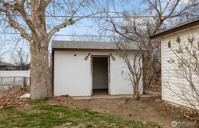 Back Shed