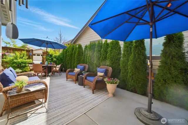 Patio oasis