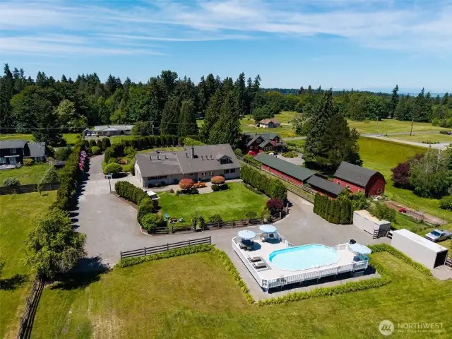 Aerial view showcases the resort-style backyard—featuring a sparkling pool, spacious patio, lush lawn & mature landscaping that create a private, picture-perfect outdoor escape
