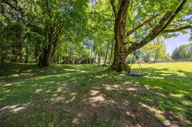 Tucked into the wooded area, you'll find a charming swing & climbing space—offering a peaceful, shaded retreat for play, adventure & connection with nature