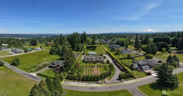 This aerial view highlights the beautifully landscaped front garden & elegant curved driveway—framed perfectly by iconic Mt. Rainier in the distance, adding a majestic backdrop to this exceptional property