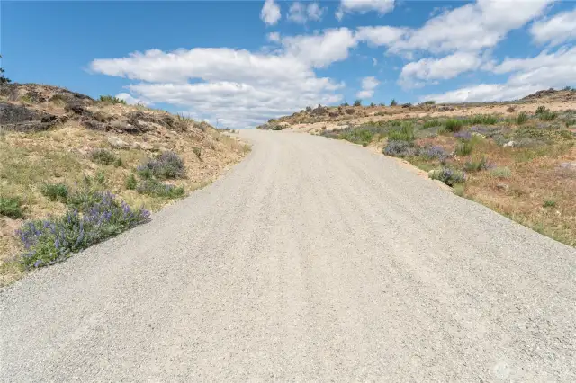 Driveway to lot
