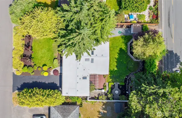 Large, private lot