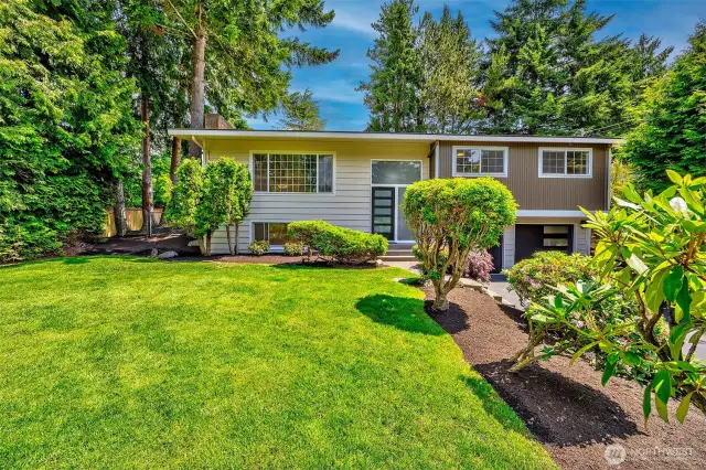 Landscaped and level front yard