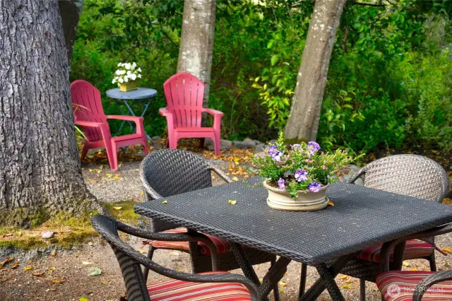 Backyard space overlooking the green belt of the community and then onto Anacortes Forest Lands