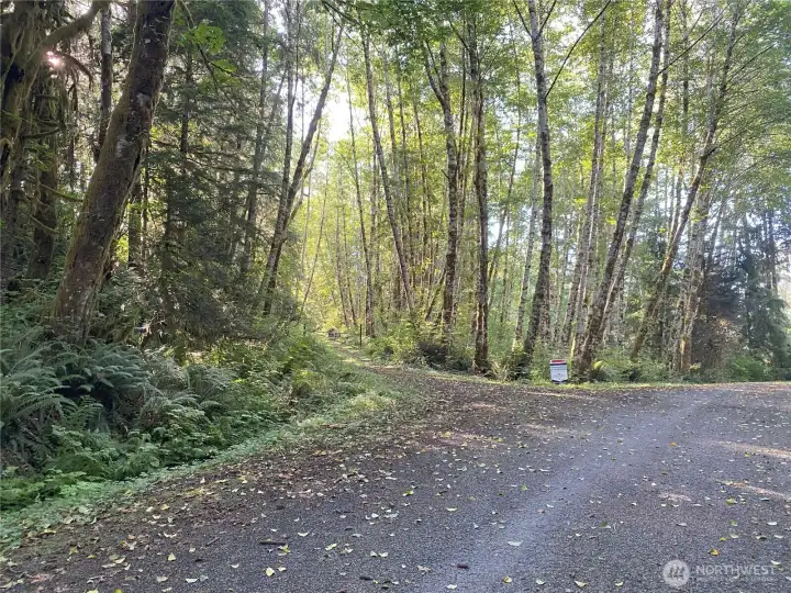 Road leading to property
