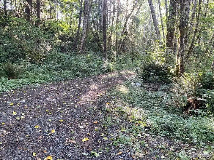 Private road leading to level land
