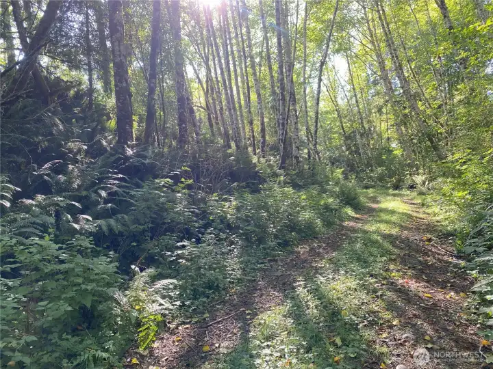 Private road leading to level land