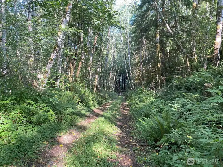 Private road leading to level land