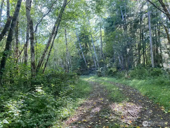 Private road leading to level land