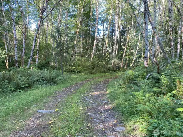 Private road leading to level land