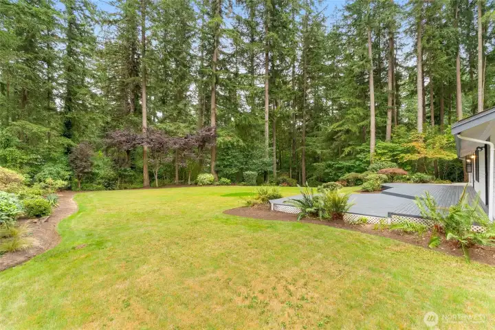 Large private backyard and huge deck perfect for entertaining