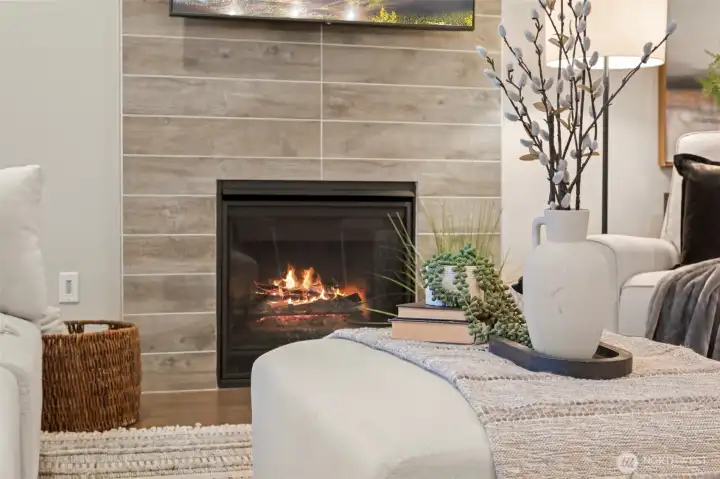 Cozy Gas Fireplace