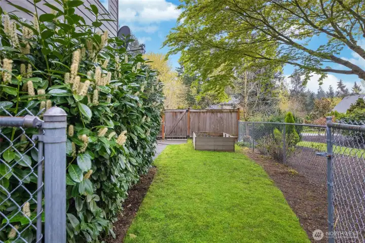 Side yard with gardening bed.
