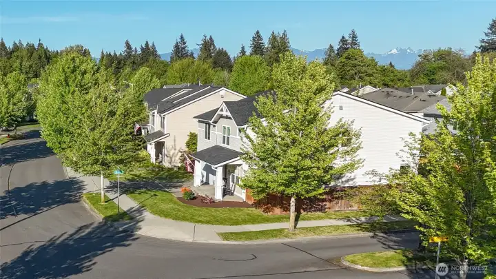 Large corner lot in great neighborhood. Large corner lot in great neighborhood.